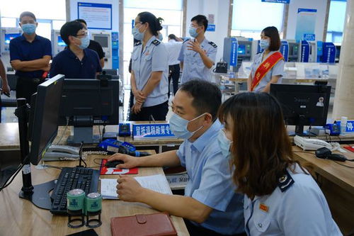 青岛税务 税务体验师“走流程提建议” 助力税费服务再提升